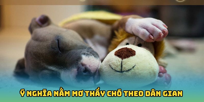 Điềm báo nằm mơ thấy chó