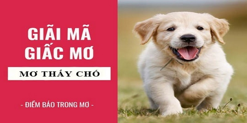 Giải mã nằm mơ thấy chó