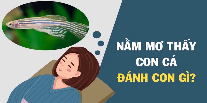 Nằm mơ thấy cá đánh con gì đẹp nhất?