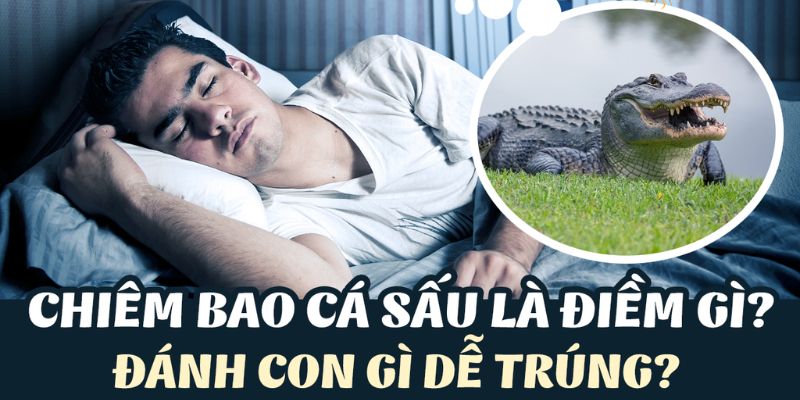 Giải mã ý nghĩa của việc nằm mơ thấy cá sấu đang tấn công
