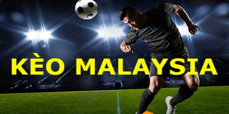 Ví dụ minh hoạt về tỷ lệ kèo Malaysia dương